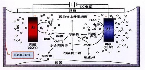 电催化氧化